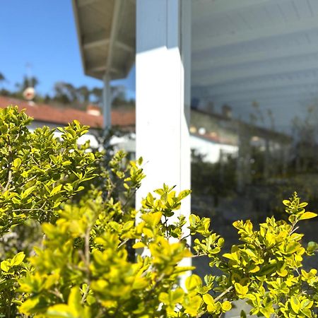 Le Village Sarzana Kültér fotó